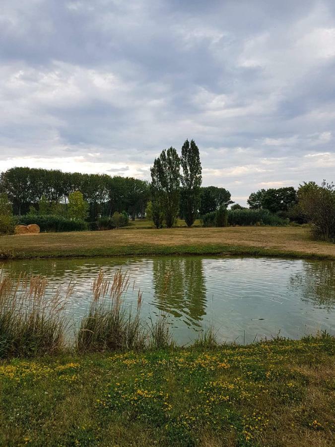 Eliza 1 Birdland Golf Apartman Bük المظهر الخارجي الصورة