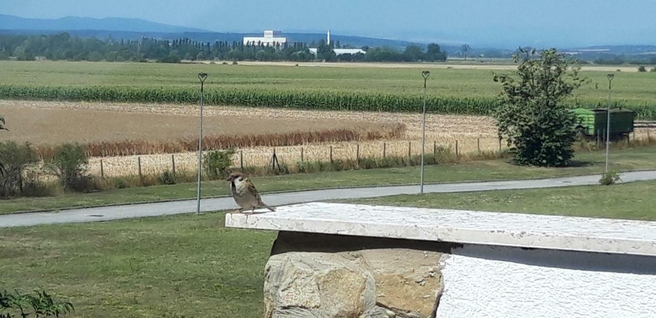 Eliza 1 Birdland Golf Apartman Bük المظهر الخارجي الصورة